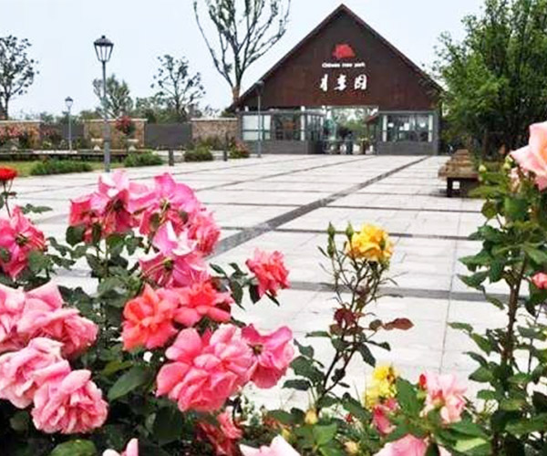蘇州團建目的地推薦：歷史與現代交織，團隊共筑美好記憶