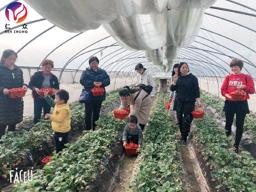 無錫、蘇州、常州：團建公司的崛起與影響